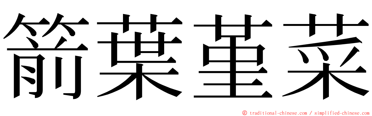 箭葉堇菜 ming font