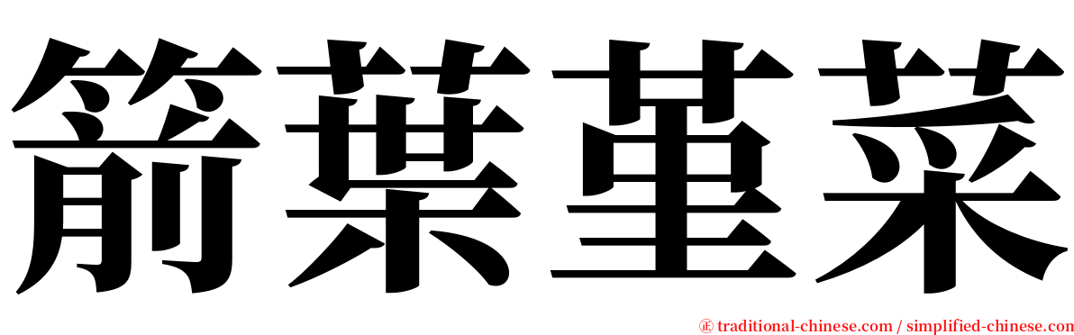 箭葉堇菜 serif font