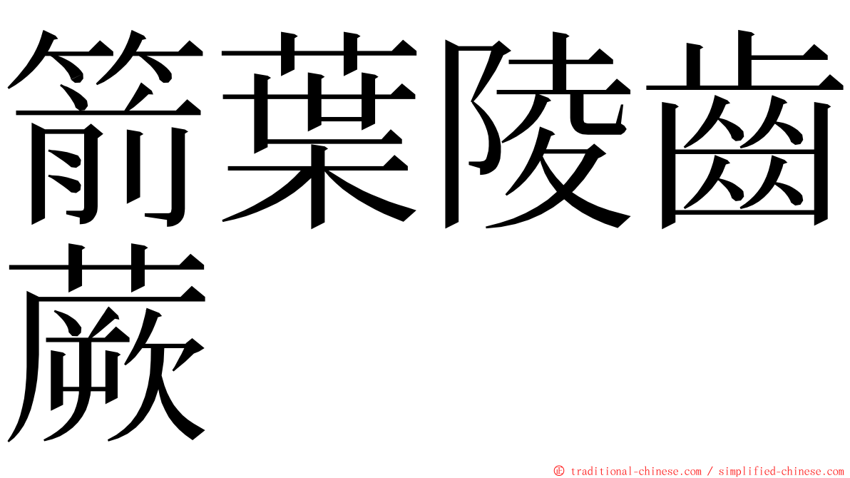 箭葉陵齒蕨 ming font