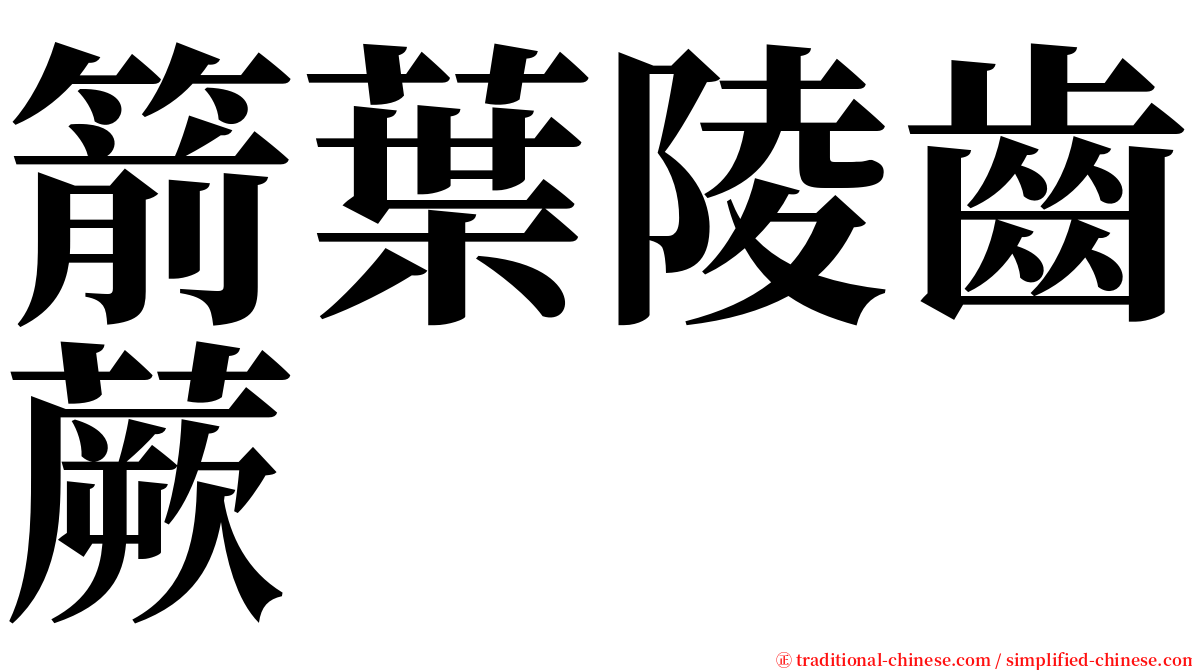 箭葉陵齒蕨 serif font