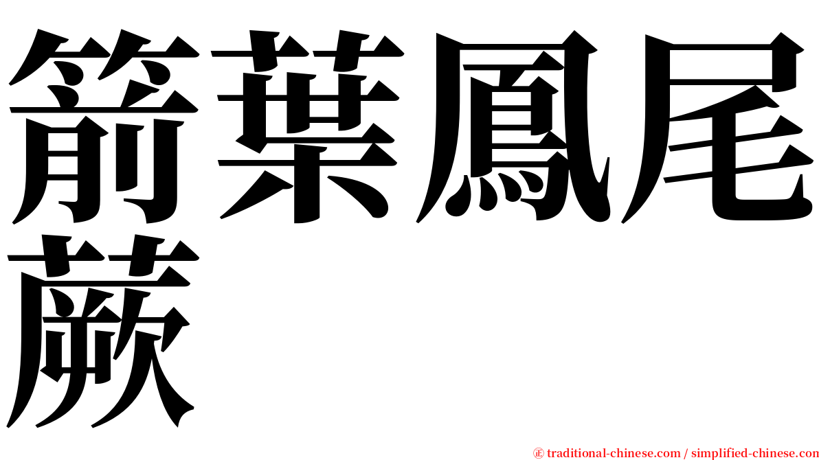 箭葉鳳尾蕨 serif font