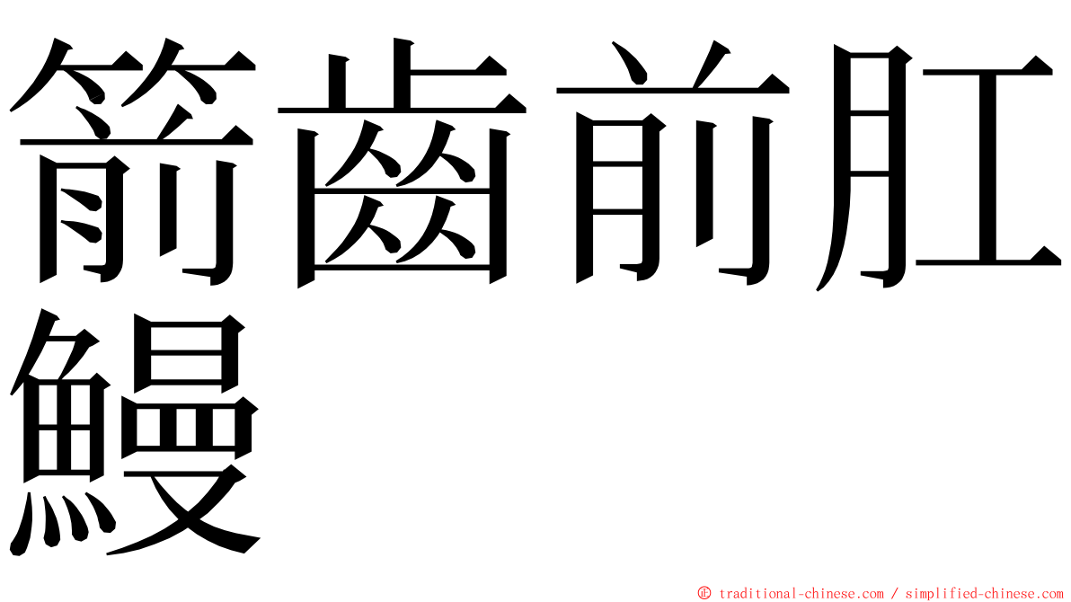 箭齒前肛鰻 ming font