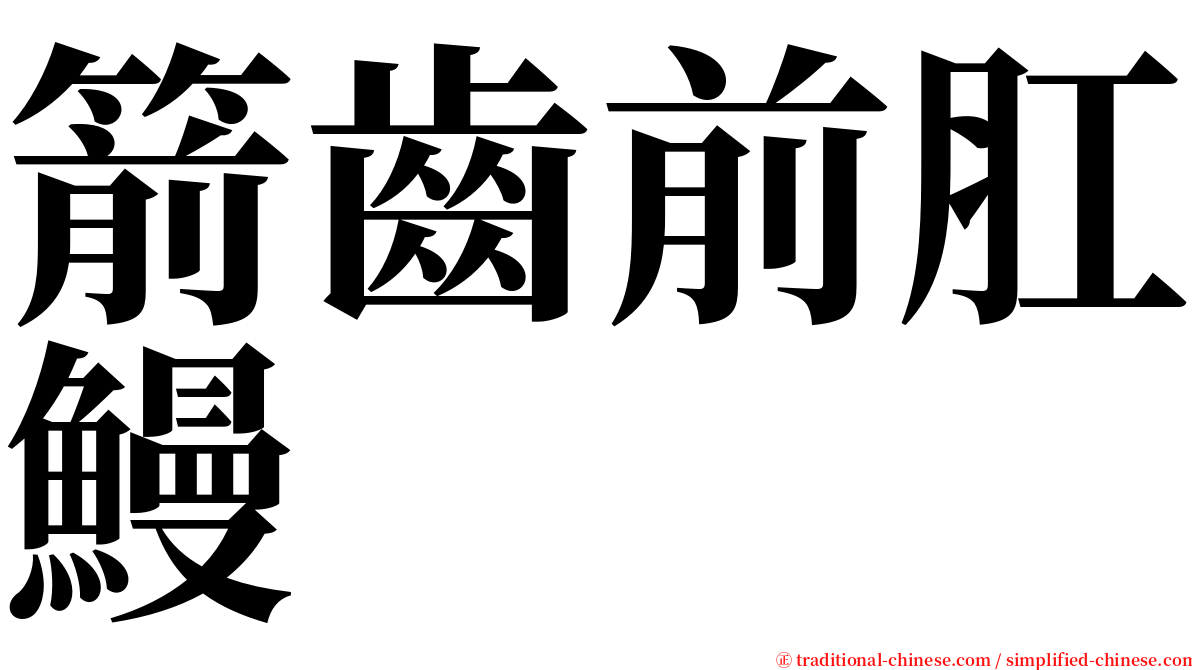 箭齒前肛鰻 serif font