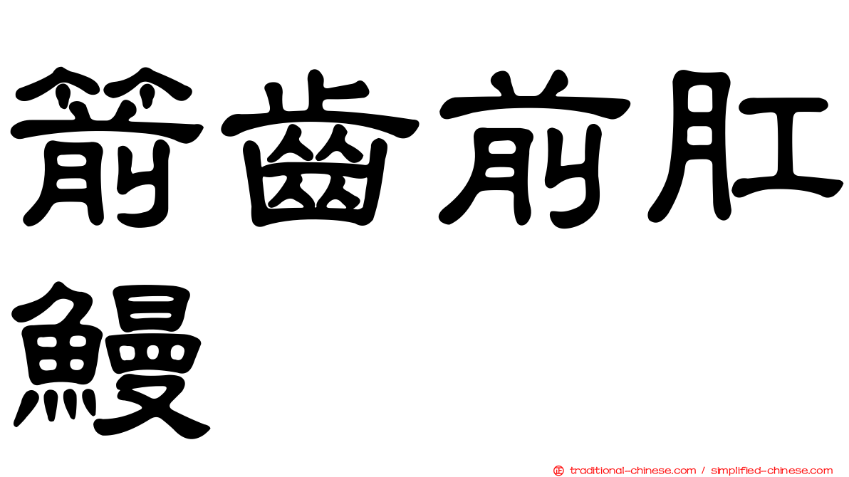 箭齒前肛鰻