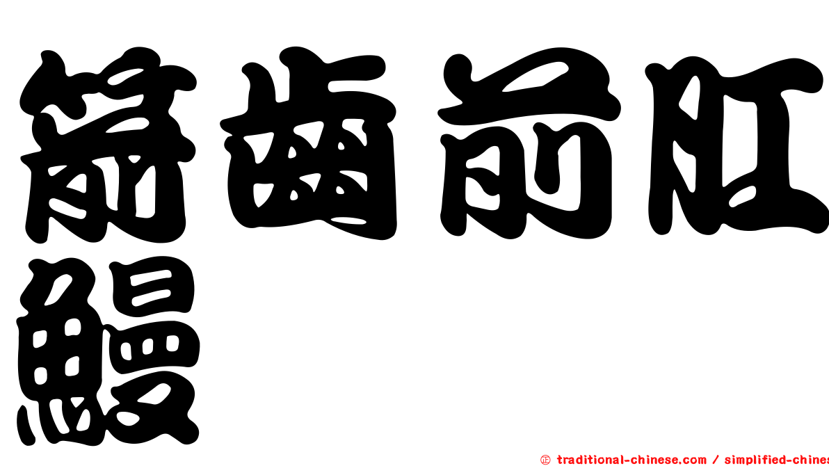 箭齒前肛鰻
