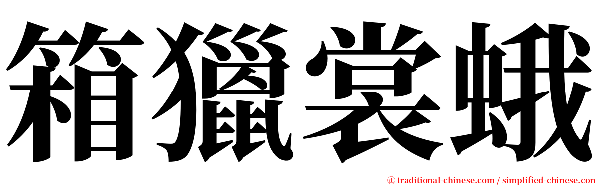 箱獵裳蛾 serif font