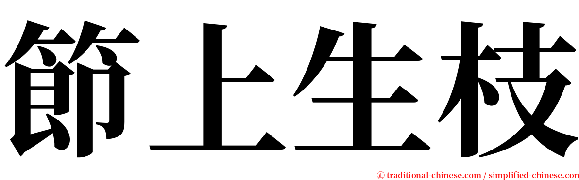 節上生枝 serif font