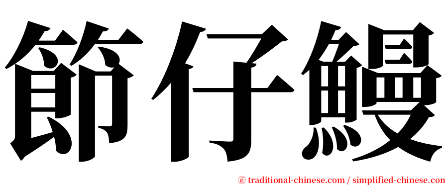 節仔鰻 serif font