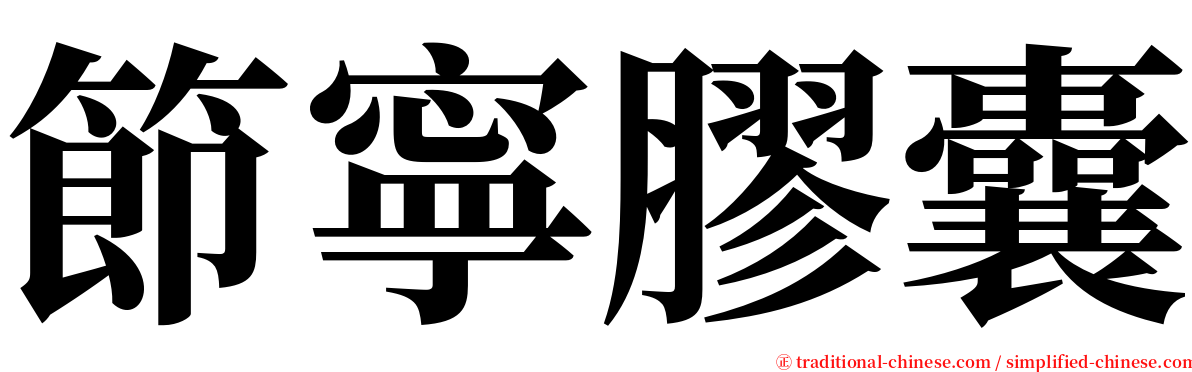 節寧膠囊 serif font