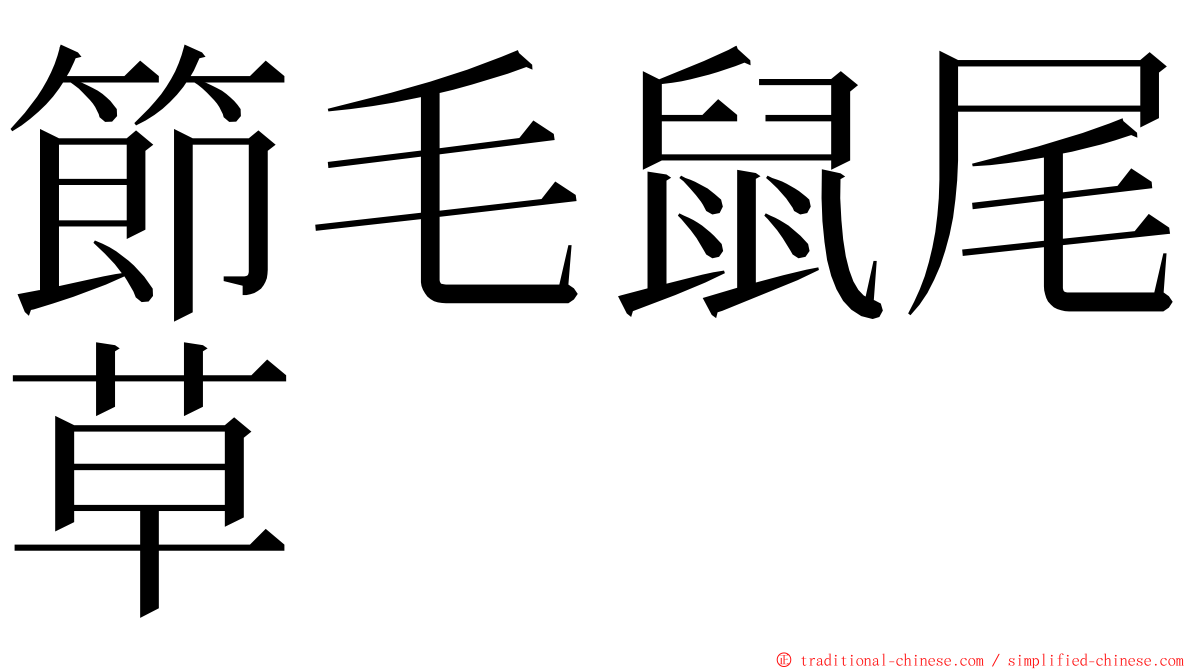 節毛鼠尾草 ming font