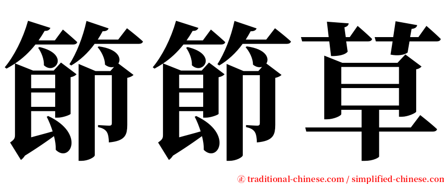 節節草 serif font