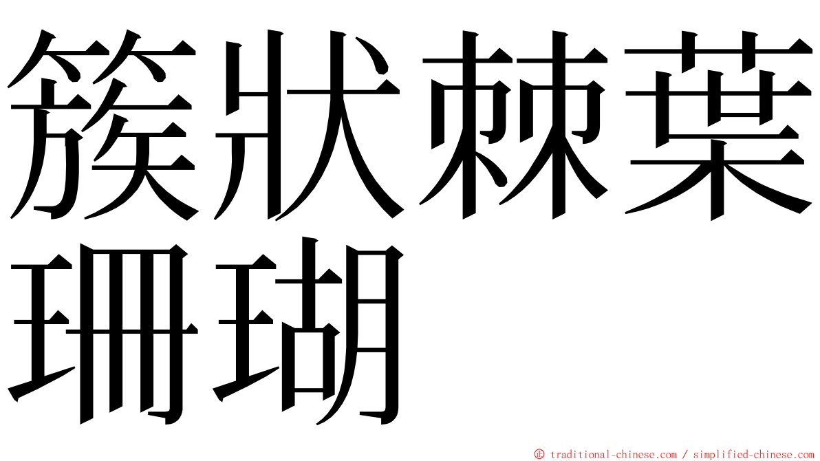 簇狀棘葉珊瑚 ming font