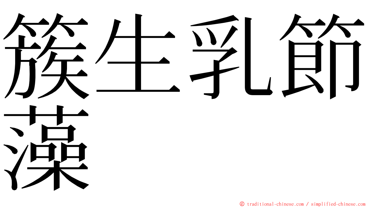 簇生乳節藻 ming font