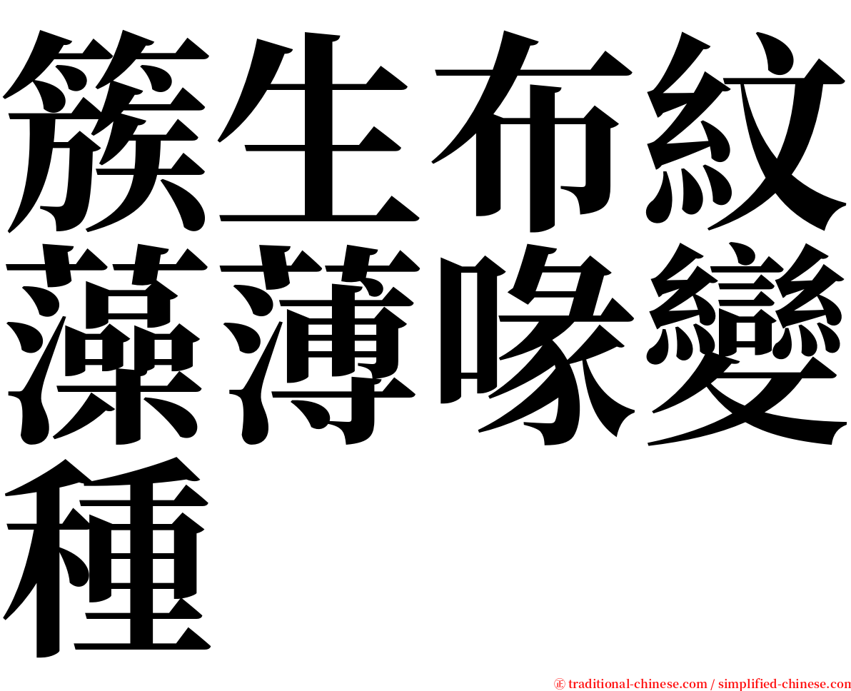 簇生布紋藻薄喙變種 serif font