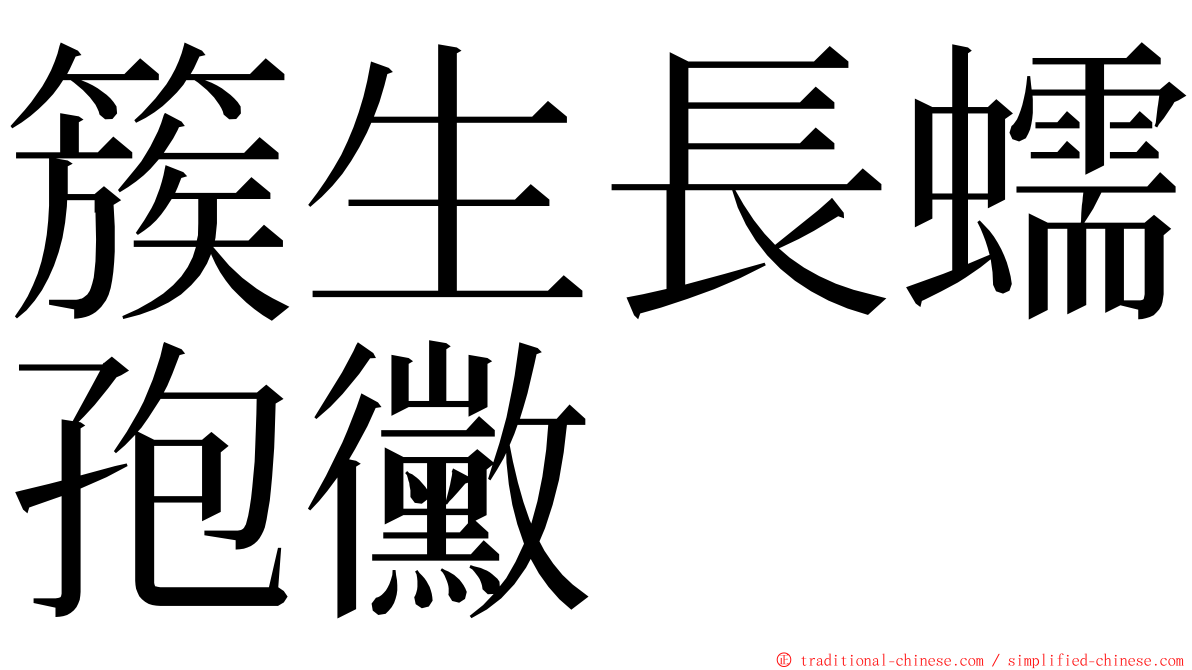 簇生長蠕孢黴 ming font