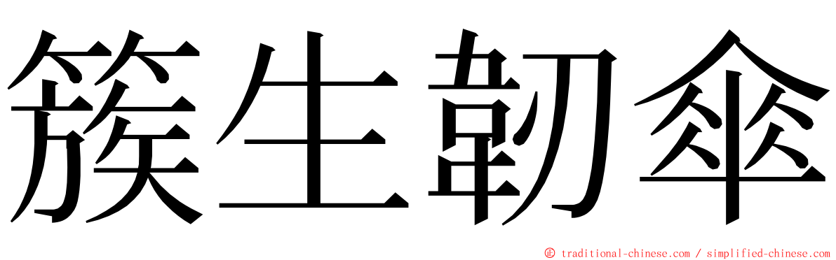 簇生韌傘 ming font