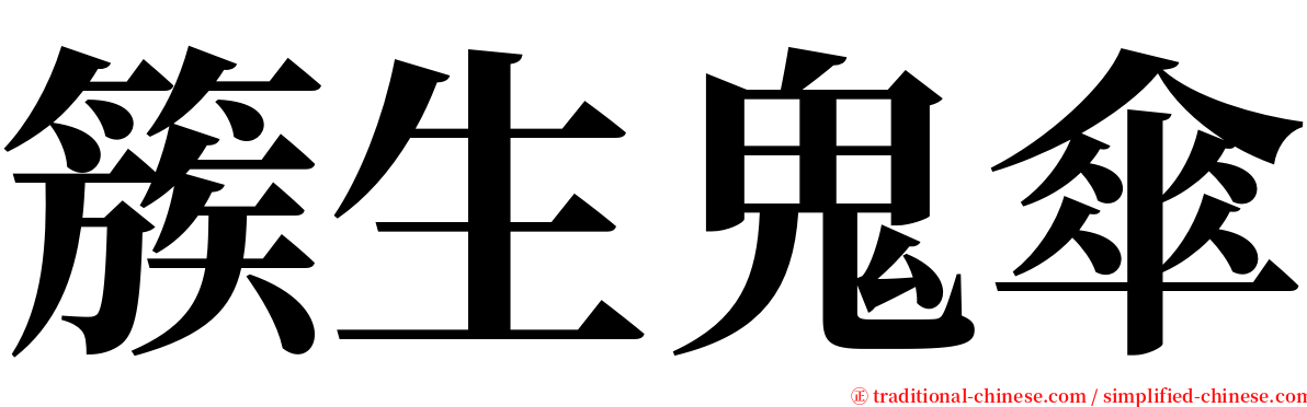 簇生鬼傘 serif font