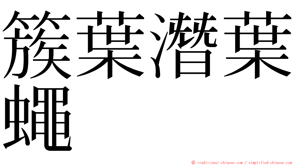 簇葉潛葉蠅 ming font