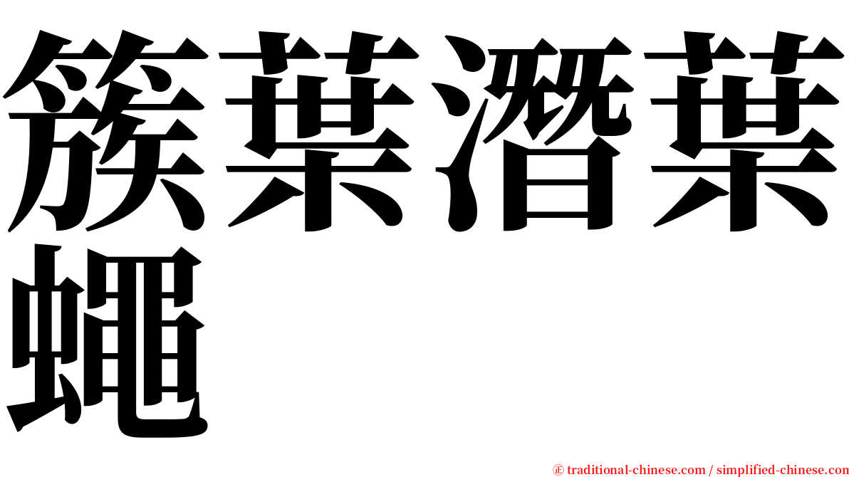 簇葉潛葉蠅 serif font