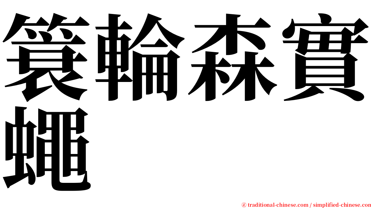 簑輪森實蠅 serif font