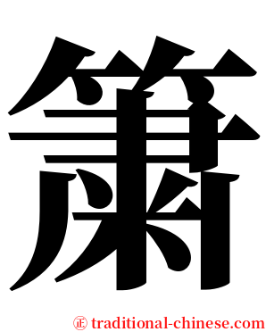 簘 serif font