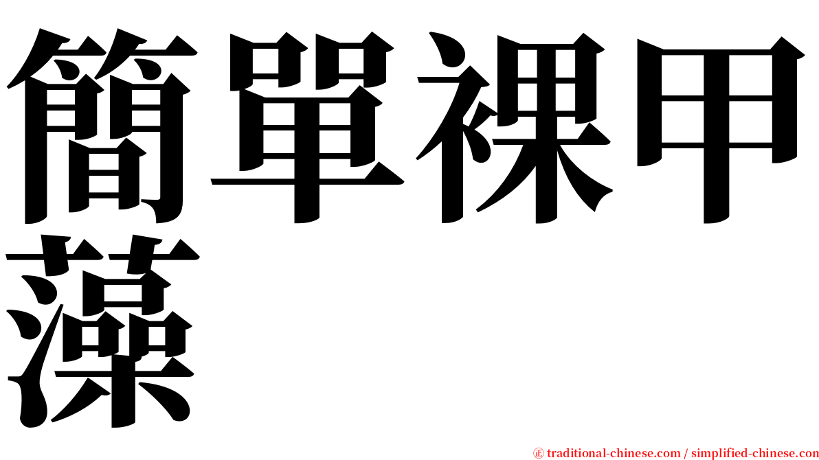 簡單裸甲藻 serif font