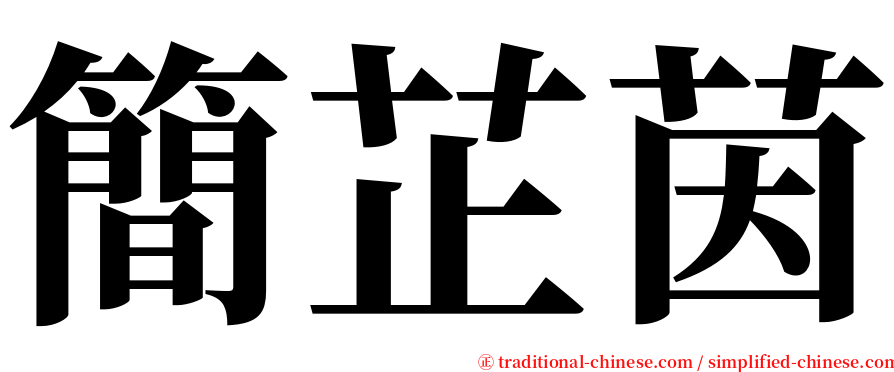 簡芷茵 serif font