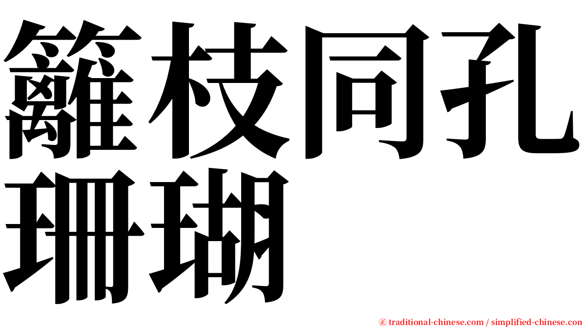 籬枝同孔珊瑚 serif font