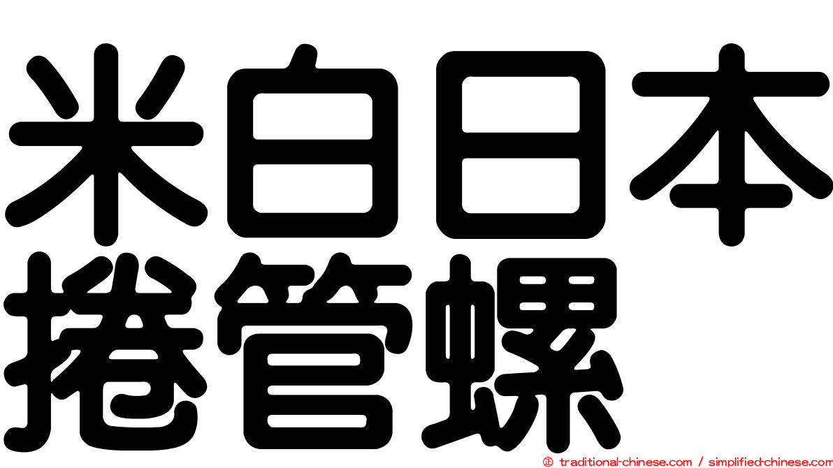 米白日本捲管螺