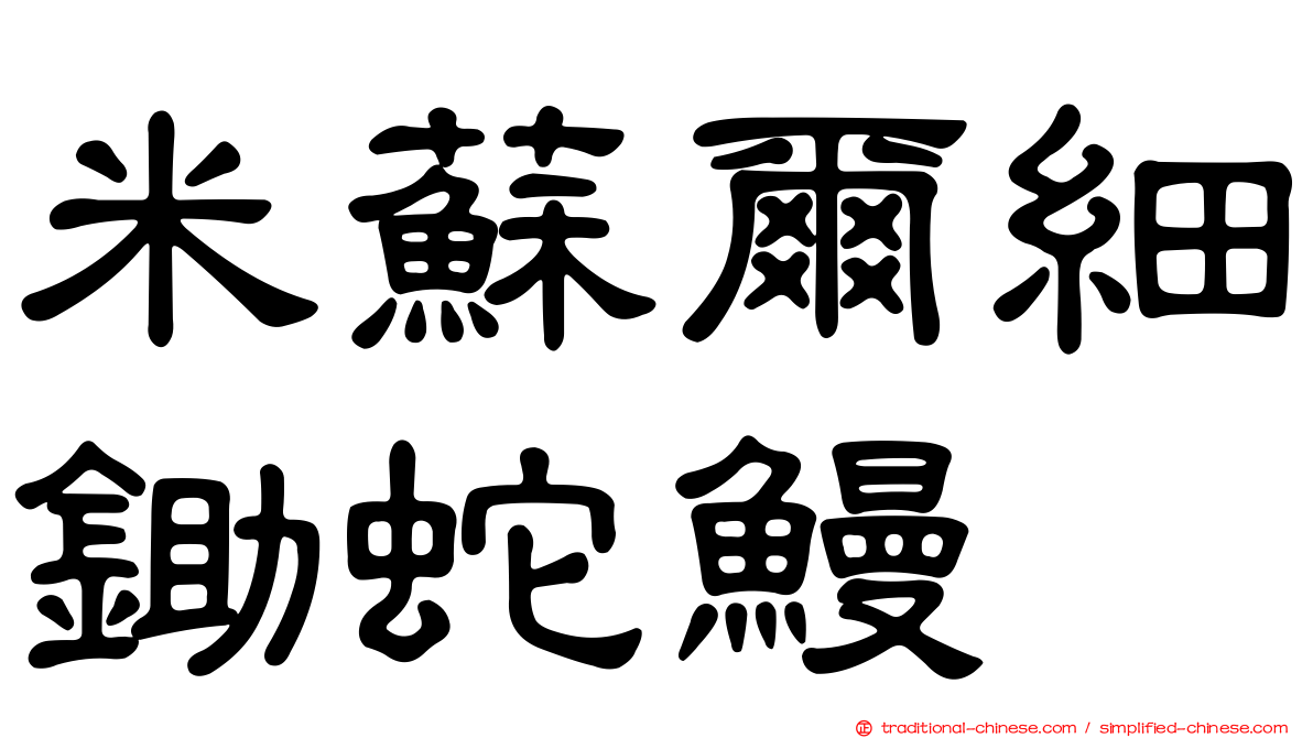 米蘇爾細鋤蛇鰻