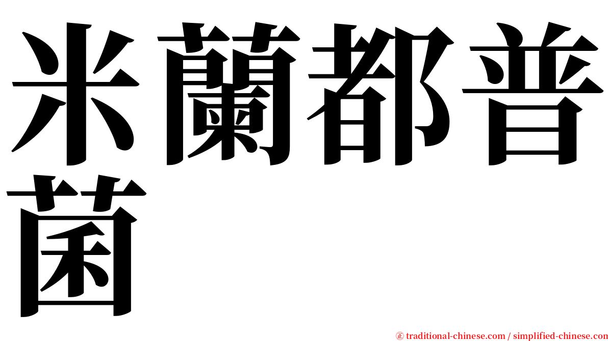 米蘭都普菌 serif font