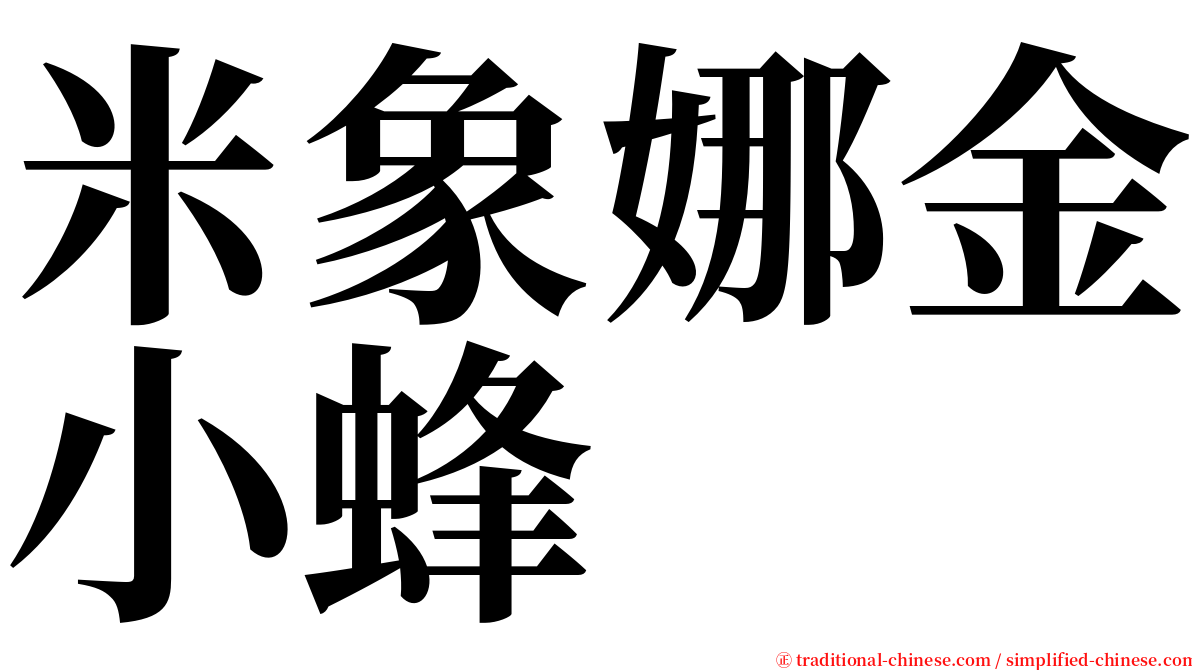 米象娜金小蜂 serif font