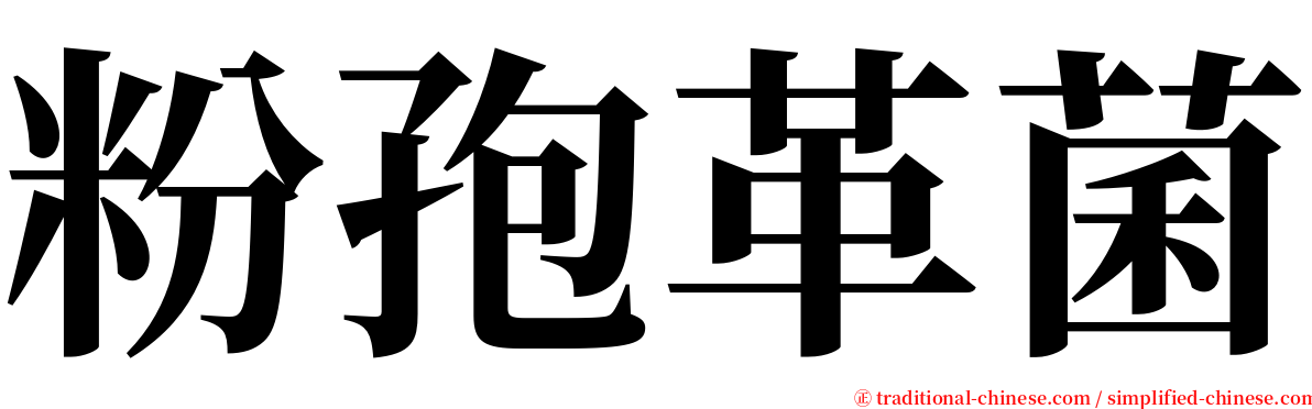 粉孢革菌 serif font