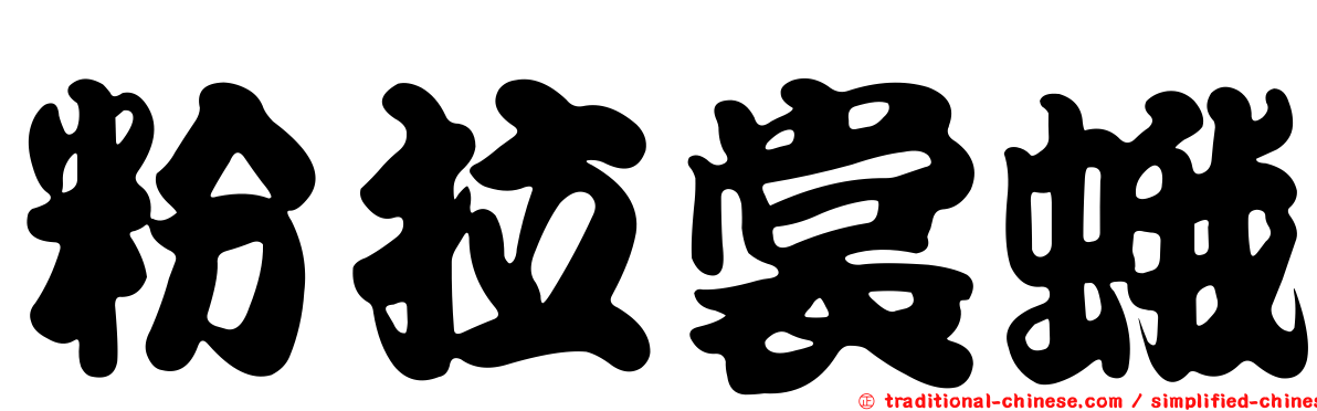 粉拉裳蛾