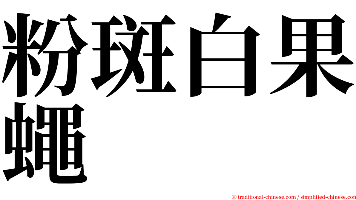 粉斑白果蠅 serif font