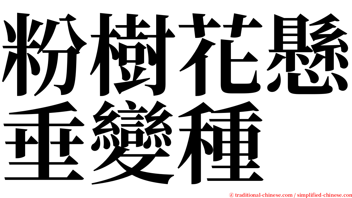 粉樹花懸垂變種 serif font