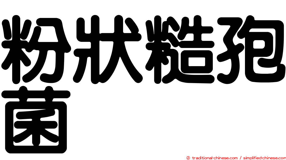 粉狀糙孢菌