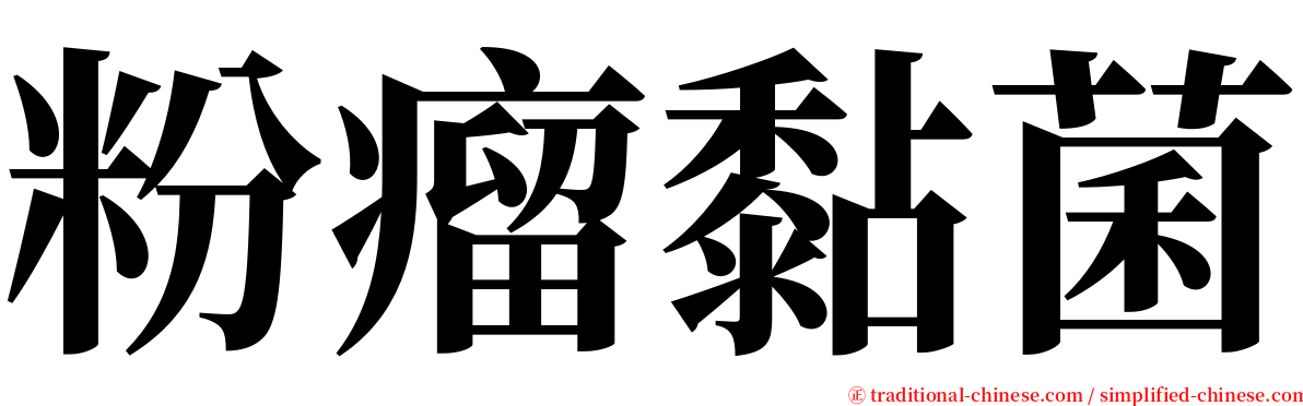 粉瘤黏菌 serif font