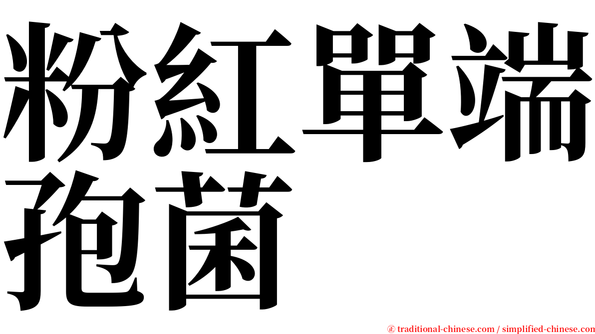 粉紅單端孢菌 serif font