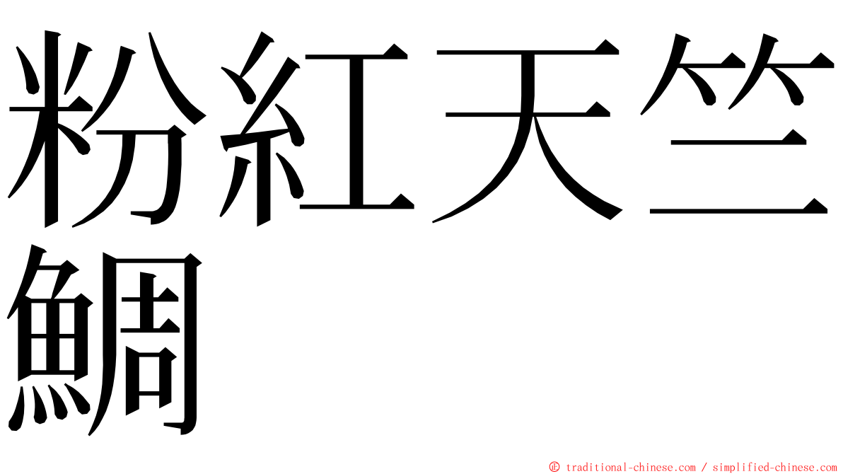 粉紅天竺鯛 ming font