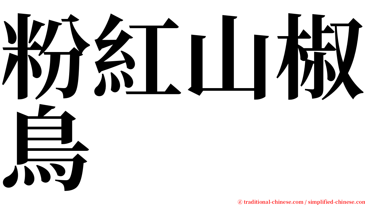 粉紅山椒鳥 serif font