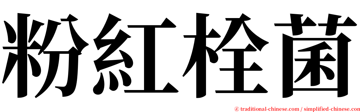 粉紅栓菌 serif font