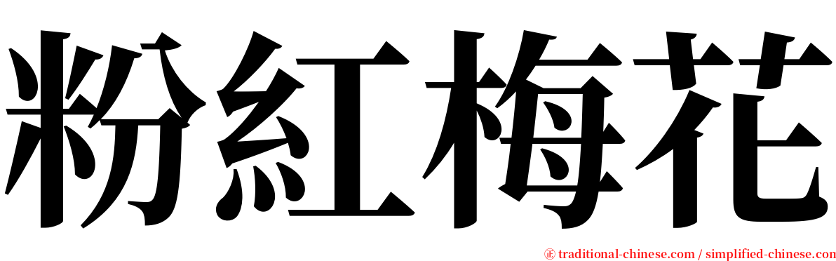 粉紅梅花 serif font