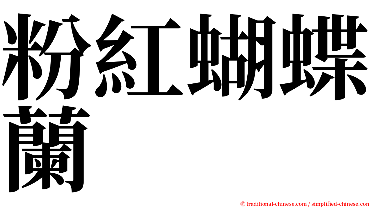 粉紅蝴蝶蘭 serif font