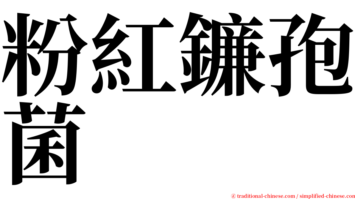 粉紅鐮孢菌 serif font