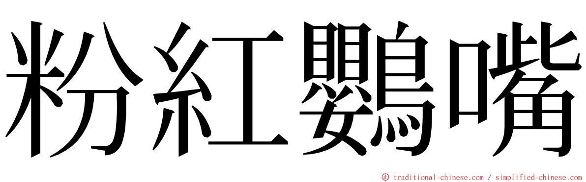 粉紅鸚嘴 ming font