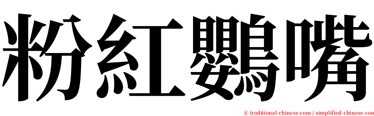 粉紅鸚嘴 serif font