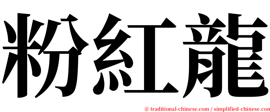 粉紅龍 serif font