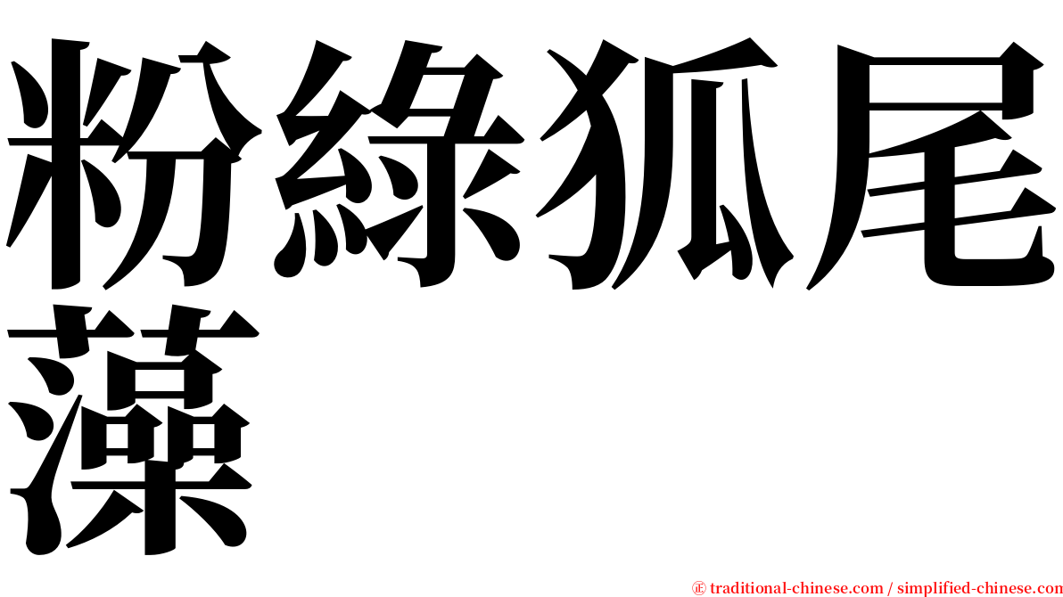 粉綠狐尾藻 serif font