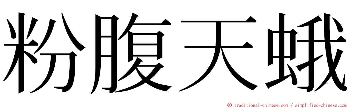 粉腹天蛾 ming font